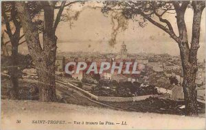 Postcard Old Saint Tropez View through the pines