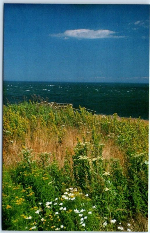 Postcard - Looking towards Nova Scotia, Roosevelt Campobello Int'l Park, Canada