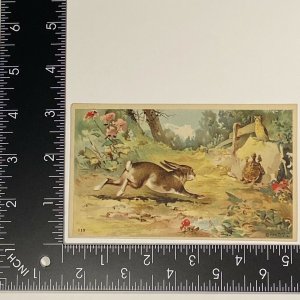 The Hare And The Tortoise Aesops Fable Trade Card FAS