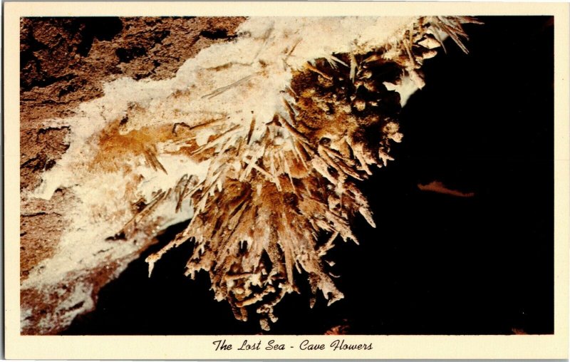 The Lost Sea Cave Flowers Anthodites Craighead Caverns TN Vintage Postcard C33