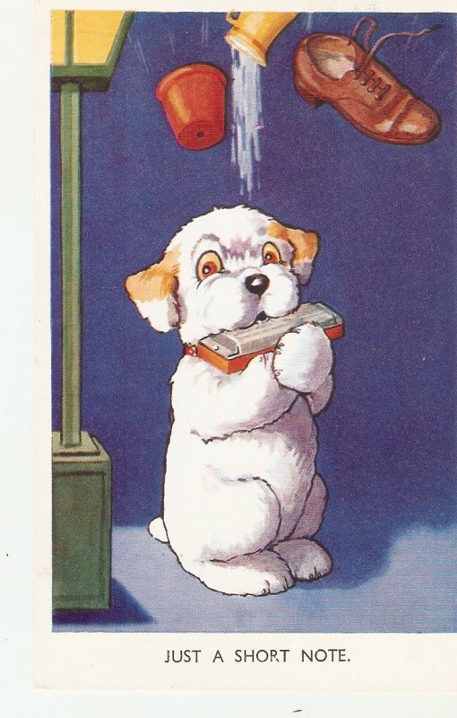 Bonzo Dog type. Just a short note Old vintage English, artist drawn postcard