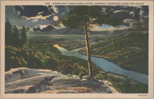 1936 Signal Point TN moonlight night view Tennessee River Valley birds eye F162 