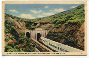 Railroad Train Streamliner Raton Tunnesl New Mexico Fred Harvey 1941 postcard