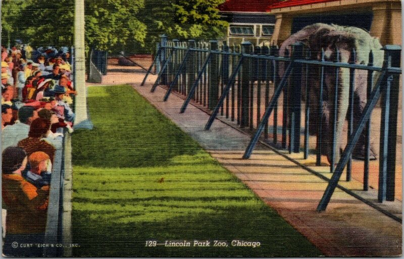 Vintage 1940's Lincoln Park Zoo Elephant Chicago Illinois IL Linen Postcard