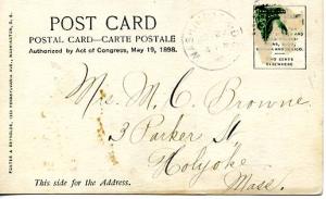 DC - Washington, Thw White House, South Front