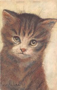 F14/ Cat Animal Postcard Switzerland c1910 Artist Signed Beautiful 12