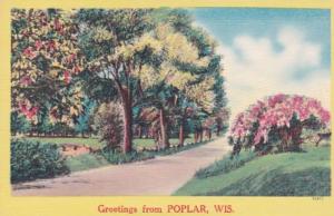 Wisconsin Greetings From Poplar