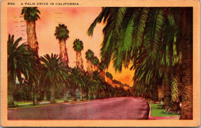 Palm Drive CALIFORNIA LINEN CA - PC - POSTED WW2 VINTAGE POSTCARD 