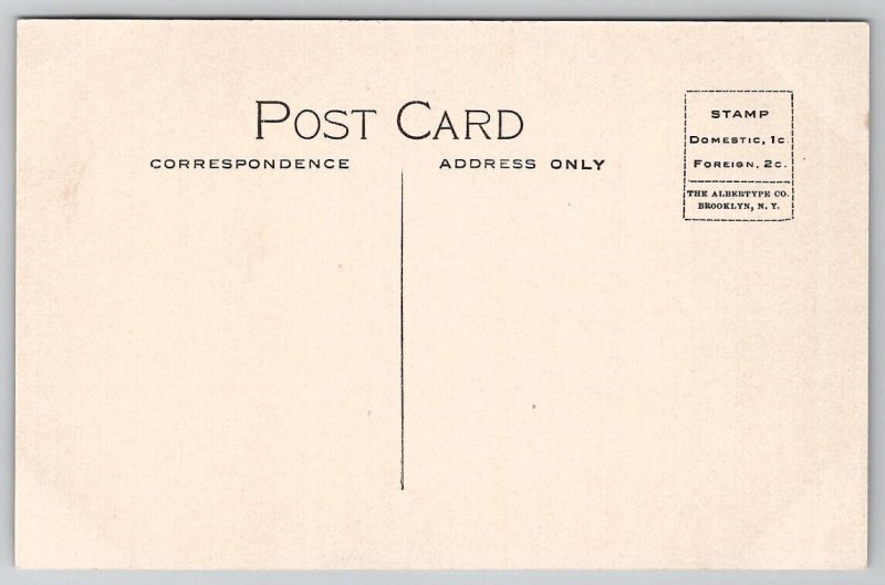 Oberlin OH Warner Hall College Ohio Pub A.G. Comings Postcard E38