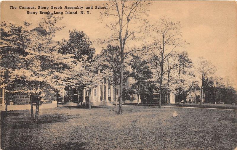 B25/ Stony Brook Long Island New York NY Postcard 1950 Assembly Campus School