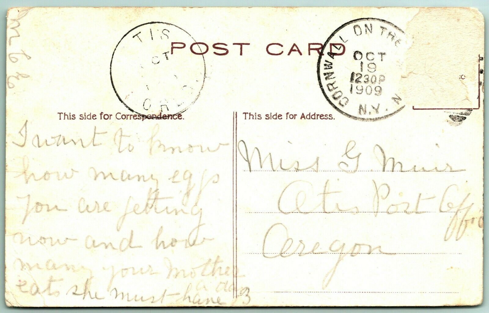 Night View Girls High School Brooklyn New York NY NYC 1908 DB Postcard I1 United States New