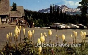 Indian Basket Grass - Mt. Rainier National Park, Washington