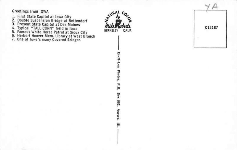 Greetings from, Iowa Postcard