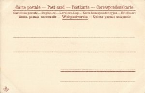 Beduin Sheik Syria 1900s Postcard by Sarrafian Bros, Beirut