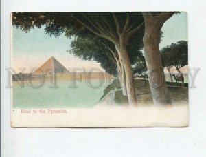 3172308 EGYPT CAIRO Road to the Pyramids Vintage postcard