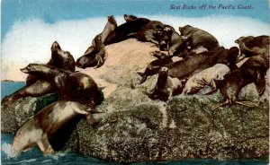 Seal Rocks Postcard: Serene Pacific Coast Seals Sunbathing