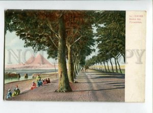 3133000 EGYPT CAIRE CAIRO Route des Pyramides Vintage postcard