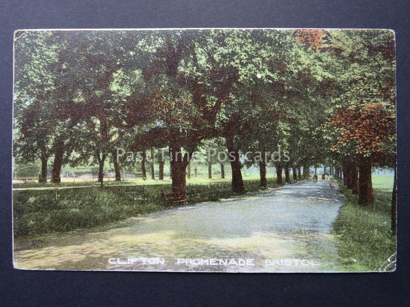 Bristol CLIFTON PROMENADE c1905 Old Postcard