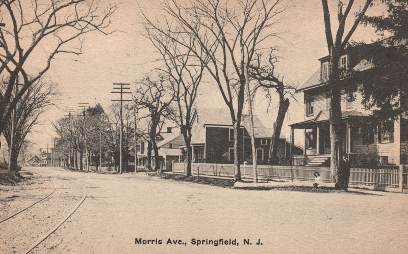 Vintage Postcard Residential Houses Morris Avenue Springfield New Jersey NJ