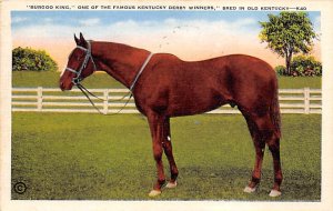 Lexington, KY, USA Horse Racing Postcard