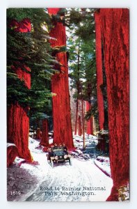 Road to Mount Rainier National Park Washington WA UNP DB Postcard Q5