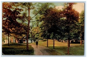 1910 Prehistoric Mounds City Park Exterior Waukesha Wisconsin Vintage Postcard