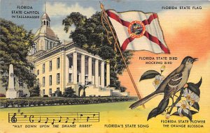 Florida State Capitol State Flag, Bird, Flower Tallahassee FL