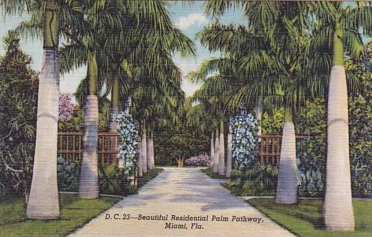 Beautiful Residential Palm Pathway Miami Florida Curteiclh