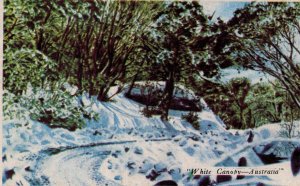 Australia White Canopy Vintage Postcard 08.93