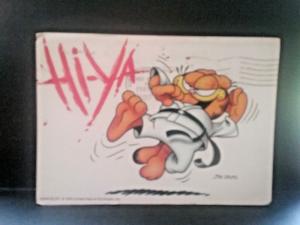 Postcard GARFIELD , by Jom Davis    Z7