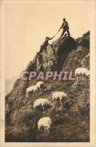 Old Postcard PYRENEES-A Shepherd Sheep Mountain Climbing