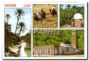 Postcard Modern Tunisia Oasis Tozeur