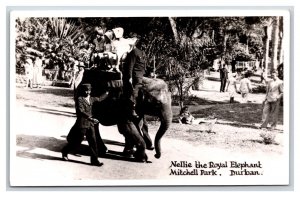 RPPC Nellie the Royal Elephant Mitchell Park Durban South Africa Postcard O16