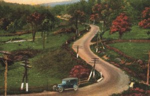 1920's Car Road Telephone Poles Martins Mountain Cumberland MD. Postcard 2R4-287