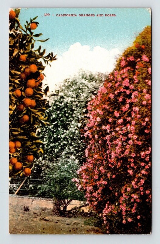 California Oranges Roses Antique Postcard PM Riverside CA Cancel WOB Note DB 