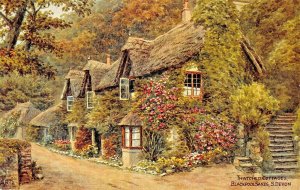 BLACKPOOL SANDS DEVON ENGLAND~THATCHED COTTAGES~ARTIST DRAWN POSTCARD