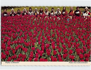 Postcard Display Of Beauties, Sunken Gardens, Holland, Michigan