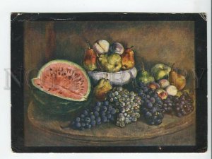 462954 USSR Mashkov fruit Vintage AHR postcard