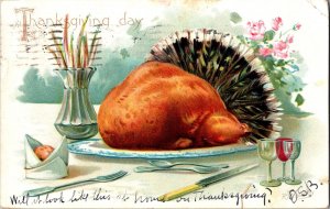 Tucks Thanksgiving Day Roasted Turkey with Tail Feathers Vintage Postcard N63