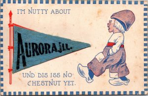 Advertising Postcard Felt Pennant Flag Little Dutch Boy in Aurora, Illinois