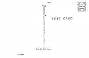 Dog ,  Cocker Spaniel puppy, Bad Boy