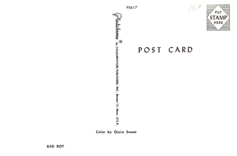 Dog ,  Cocker Spaniel puppy, Bad Boy