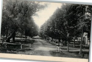 1905 Lebanon Springs Ny Postcard Columbia New York County Main Street Rppc 