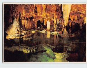 Postcard Lily Pad Room, Onondaga Cave Park, Leasburg, Missouri