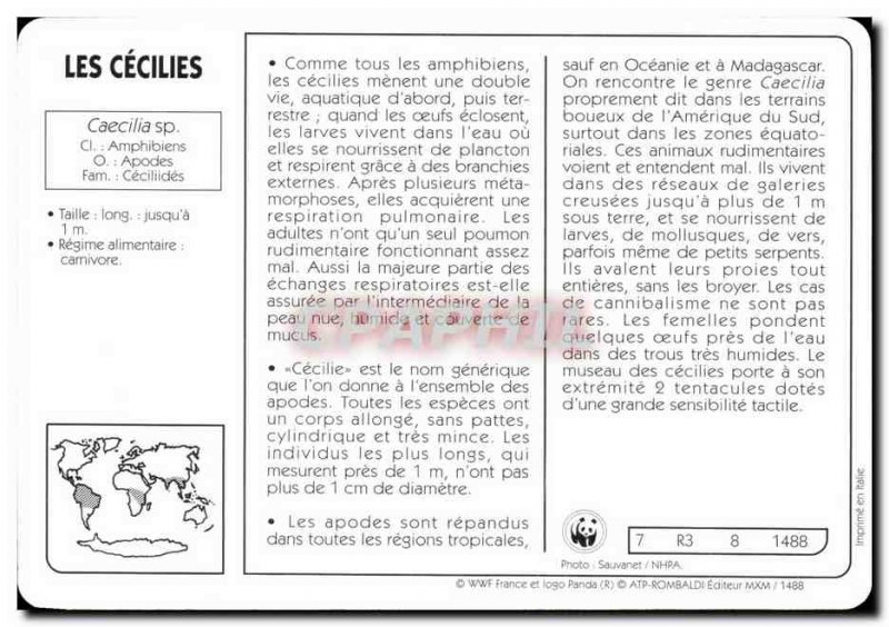 Map caecilians WWF