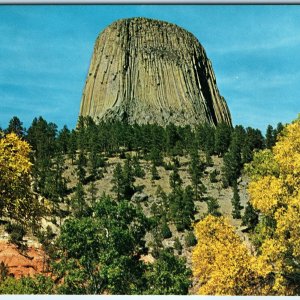 c1960s Devils Tower, WY Ancient Volcano Campground Tree Stump Chrome Noble A316