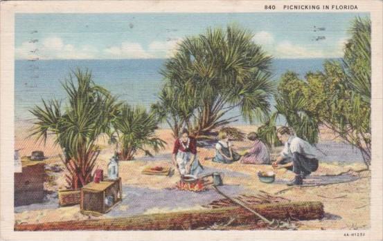 Picnicking In Florida 1940 Curteich