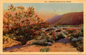 Cactus Creosote Bush On The Desert Curteich