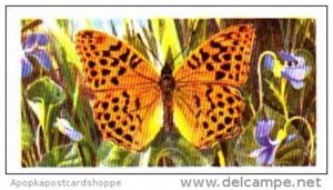 Brooke Bond Tea British Butterflies No 15 Silver Washed Fritillary