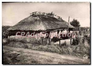 Modern Postcard Saint Jean de Monts A Bourine